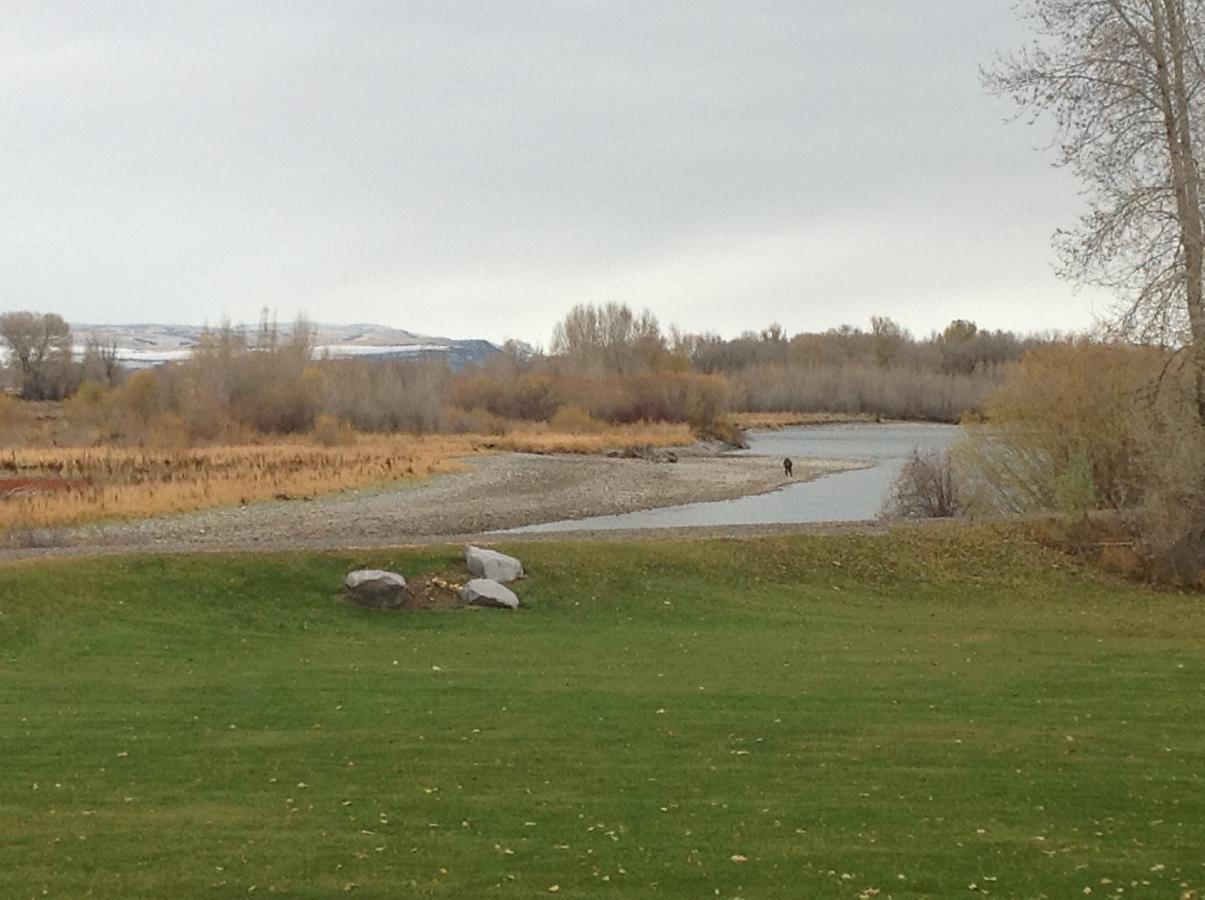 Blue Heron Inn Bed And Breakfast Rexburg Zimmer foto